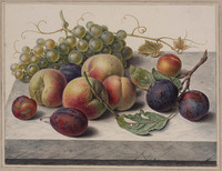 X 071
<br/>
Fruitstilleven op marmeren tafelblad
<br/>
<em>Schwegman, Hendrik (1761-1816)</em>